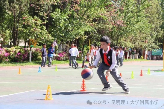 篮球训练术语大全视频教学_0